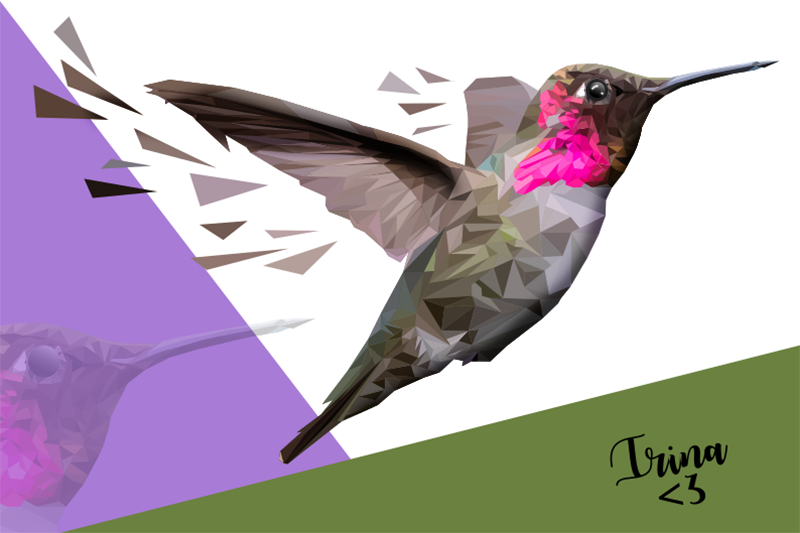 Hummingbird