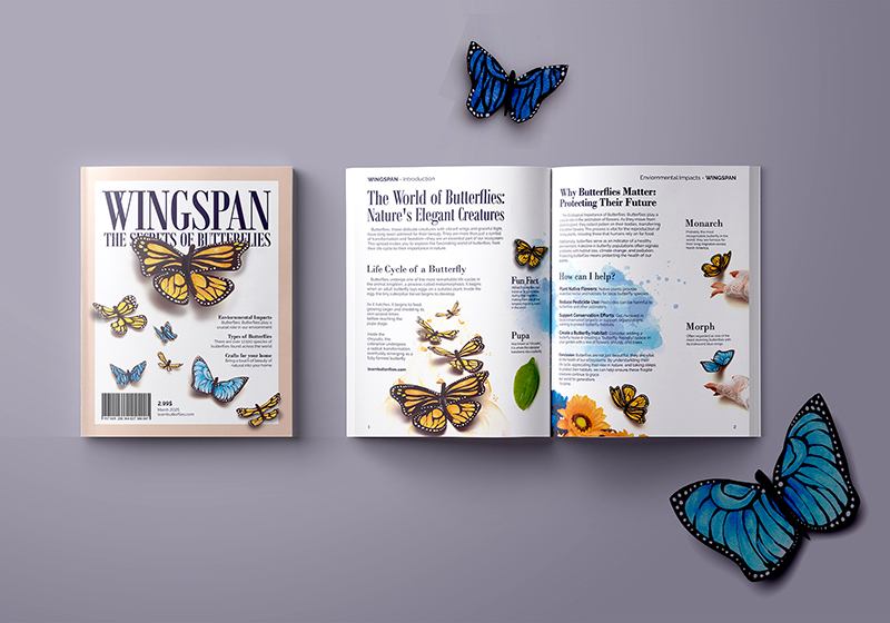 Wingspan Magazine - Mockup