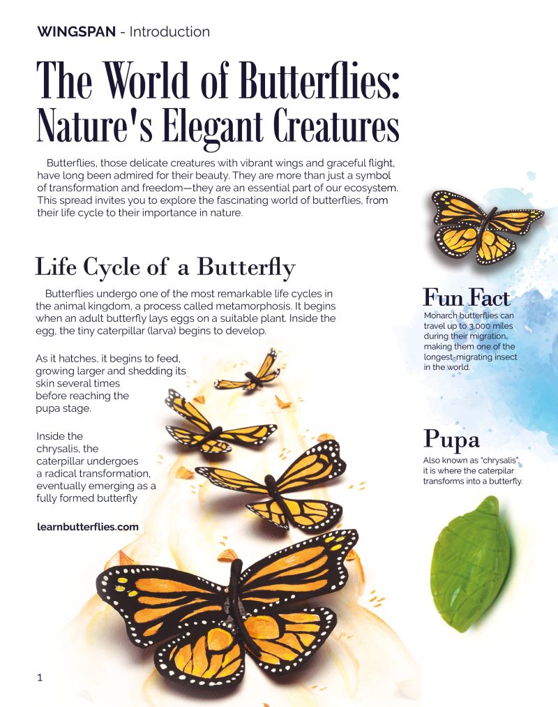 Wingspan Magazine Page 1